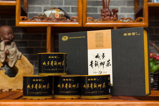 青柳源·青錢柳產(chǎn)品亮相第二屆湖湘文化藝術(shù)交流周 以茶為媒，傳承湖湘文化新篇章